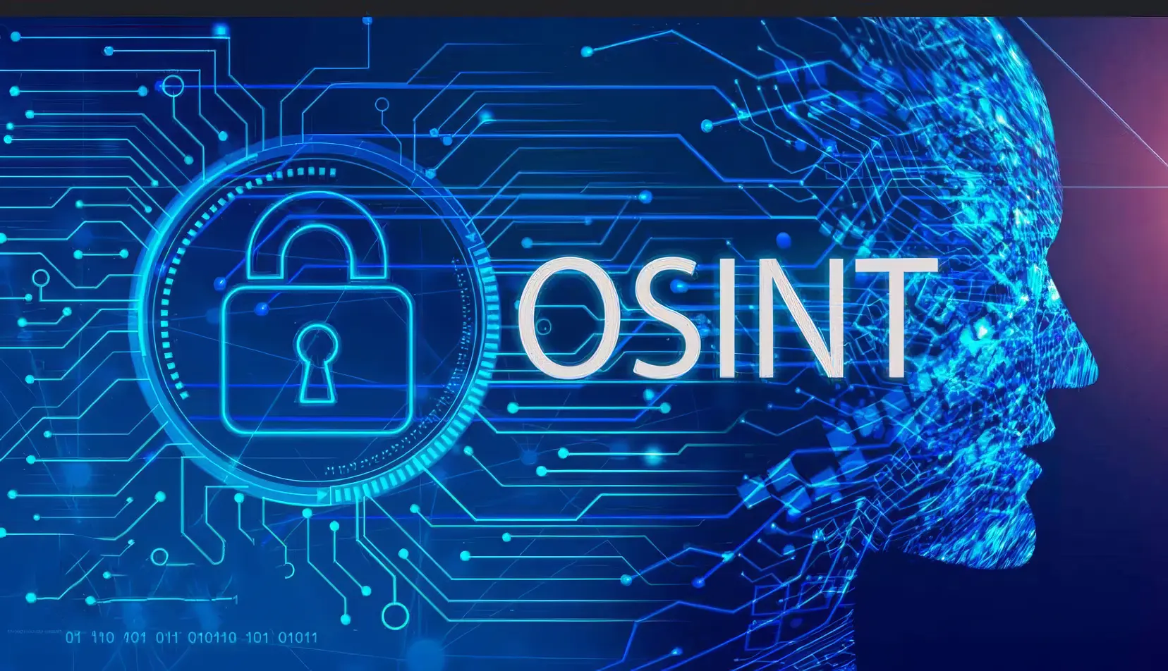 Професійні OSINT послуги